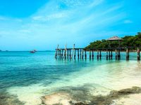 koh samed tour koh samed tour