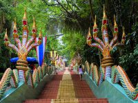 wad kao su kim wad kao su kim